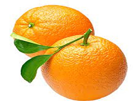 خرید و فروش پرتقال تامسون جنوب با شرایط فوق العاده
